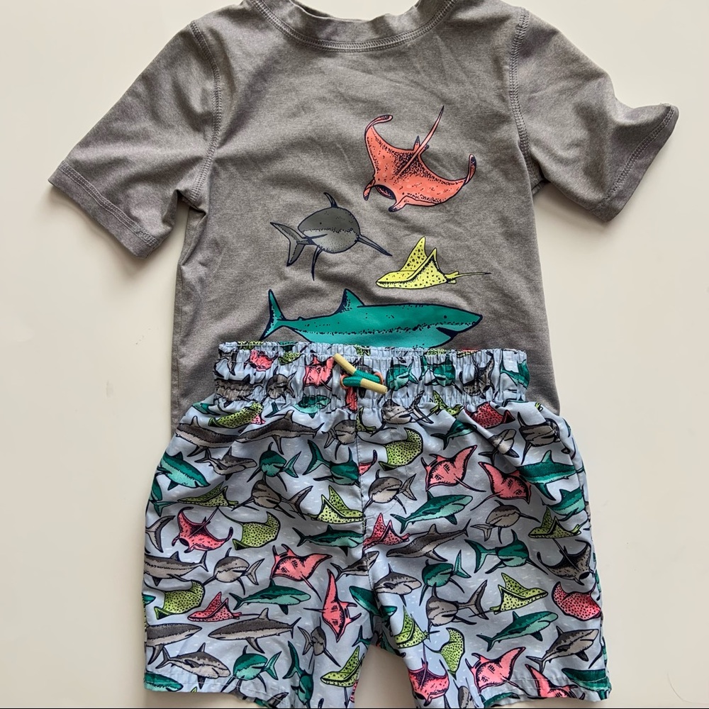 Cat & Jack Toddler Swimset - 3T